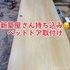 ドアの持ち込み1時間で猫ドア加工取付け！　名古屋市