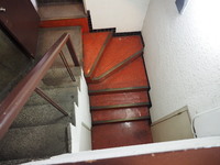 P1010096.JPG
